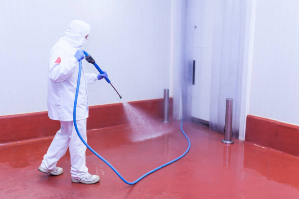 Best Post-Construction Pressure Washing  in Whiteland, IN